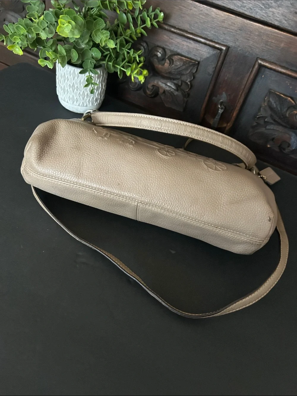 Coach Leather Crossbody Bag in Taupe with Embossed Carriage